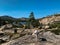 White Dog Standing on Rocks on Overlook Above Lake Angela