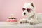 White dog west highland white terrier, celebrating a birthday with a cake and gifts