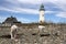 White Dogs on a rocky beach with Lighthouse in the background