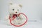 White doll bear hold doctor instrument.