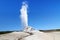 White Dome Geyser