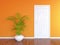 White door and orange wall