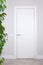 White door and switch on a light gray wall. Branches with leaves of a house plant