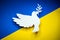White dove as symbol of peace on ukraine flag. Pace in Ukraine, symbol for end of the Conflict in Europe between Russia and