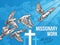 White dove banner for World Peace Day design