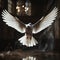 White dove in a dark room evokes a spiritual ambiance