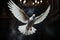 White dove in a dark room evokes a spiritual ambiance