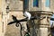 White dove drinking water from the fountain, Greece