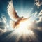 White dove flies against blue sky and bursting sun beams