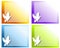 White Dove Flying Backgrounds