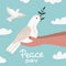 White Dove with Olive Branch sittting in human Hands. Peace Symbol. Pigeon Isolated Logo. White Flying Bird Emblem. Flat