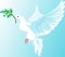 The white dove of peace