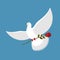 White dove and red rose. Beautiful bird carries red flower. Flying pigeon