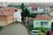 White dove sits high on the balcony and looks at the roofs of low-rise buildings. Close up portrait of a lone beautiful big pigeon