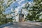 White dove sitting on canopy gazebo roof under the branches of trees against a blue sky in the backyard and lit by the