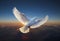 White dove in the sky symbol of faith over nature good news peace and spirituality