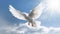 White doves and bright lights in the sky as a peace and spiritual symbol of Christian people. Holy spirit symbol