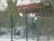 White doves on a fence with snow in a white winter wonderland in nieuwerkerk aan den IJssel, the Netherlands