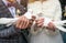 White doves in the hands of newlyweds closeup