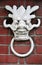 A White Dragon Face Door Knocker