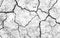 White dried and cracked ground earth background. Closeup of dry fissure ground. Gray crack on earth texture. erosion