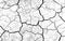 White dried and cracked ground earth background. Closeup of dry fissure ground. Gray crack on earth texture. erosion