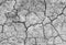 White dried and cracked ground earth background. Closeup of dry fissure ground. Gray crack on earth texture. erosion