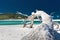 White driftwood tree on amazing Whitehaven Beach with white sand