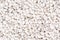 White dry pebbles background, macro photo of white gravel texture.