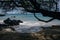 White dry wood branches reaching lava rocks at Beach 69, Waialea, Big Island