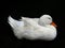 White duck (Aylesbury duck)