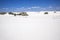 white dune sand scenery western Australia