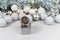 White Dzungarian hamster on a gift box. Christmas card with white and silver balls, garland, tinsel, snowflakes on a