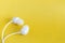 White earbuds on yellow pastel background