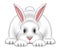 White Easter Bunny Isolated White Background