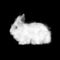 White easter bunny made of cloud isolated on a black background