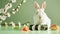 White Easter bunny with sushi on light green background with spring flowers