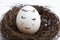 White Easter egg in nest