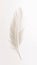 White easy airy soft bird feather with transparent 1690444459253 2