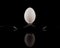 White Egg Balanced on Two Forks on a reflective surface on black background. perfect reflection