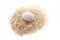 White Egg on Straw Nest