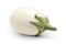 White eggplant