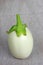 White eggplant (Solanum melongena)