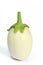 White eggplant (Solanum melongena)