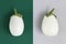 White eggplants isolated on green and gray background