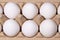 White eggs in two rows in paper packaging flat lay shot