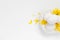 White eggs white background forsythia flowers