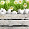 White eggs in wooden container with flowers