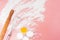 White eggs, a wooden rolling pin, a metal whisk and scattered flour on a delicate pink background. kitchen utensils for baking,