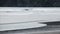 White Egret on a beach